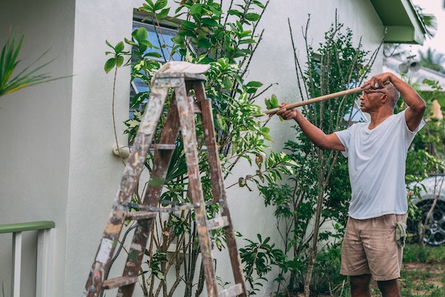 cleaning-outside-trees-maintenance